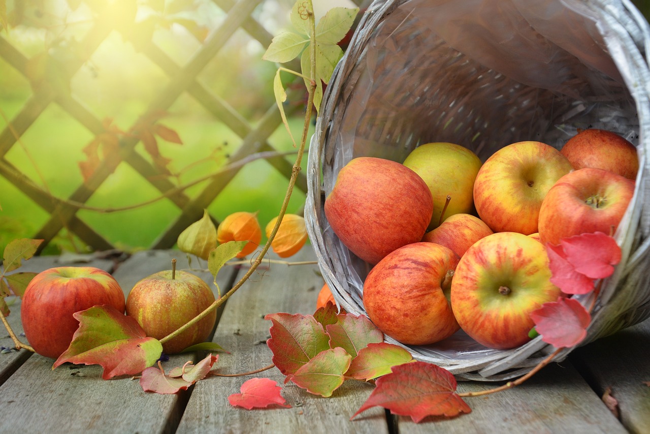 Jesień: Wskazówki i informacje na temat zdrowego podejścia do sezonu
